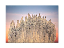 Load image into Gallery viewer, PRE-ORDER: Liss Fenwick – The Colony