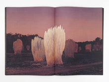 Load image into Gallery viewer, Liss Fenwick – The Colony