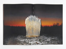 Load image into Gallery viewer, Liss Fenwick – The Colony