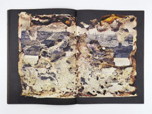 Load image into Gallery viewer, Liss Fenwick – The Colony