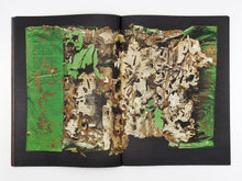 Load image into Gallery viewer, Liss Fenwick – The Colony