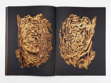 Load image into Gallery viewer, Liss Fenwick – The Colony