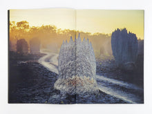 Load image into Gallery viewer, Liss Fenwick – The Colony