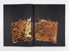 Load image into Gallery viewer, Liss Fenwick – The Colony