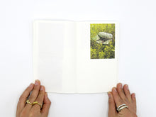 Load image into Gallery viewer, Mike Slack – Walking in Place 1: New Orleans