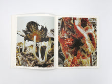 Load image into Gallery viewer, Ying Ang – Fruiting Bodies