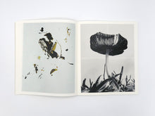 Load image into Gallery viewer, Ying Ang – Fruiting Bodies