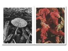 Load image into Gallery viewer, SPECIAL EDITION PRE-ORDER: Ying Ang – Fruiting Bodies