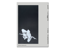 Load image into Gallery viewer, SPECIAL EDITION PRE-ORDER: Zoë Croggon – Cold Windows