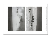 Load image into Gallery viewer, SPECIAL EDITION PRE-ORDER: Zoë Croggon – Cold Windows