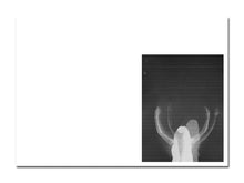Load image into Gallery viewer, SPECIAL EDITION PRE-ORDER: Zoë Croggon – Cold Windows