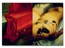 Load image into Gallery viewer, PRE-ORDER: CCP.PE.Z.008 Teva Cosic – Birdsong