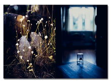 Load image into Gallery viewer, PRE-ORDER: CCP.PE.Z.008 Teva Cosic – Birdsong
