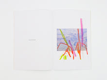 Load image into Gallery viewer, Félicia Atkinson – Ambient Park