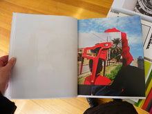 Load image into Gallery viewer, Elspeth Diederix - Things As They Are