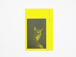 Felix Wilson – Nocturnal Ecologies