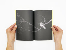 Load image into Gallery viewer, Felix Wilson – Nocturnal Ecologies