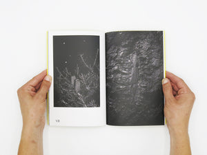 Felix Wilson – Nocturnal Ecologies