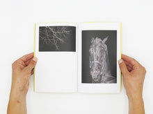 Load image into Gallery viewer, Felix Wilson – Nocturnal Ecologies