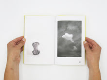 Load image into Gallery viewer, Felix Wilson – Nocturnal Ecologies