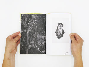 Felix Wilson – Nocturnal Ecologies