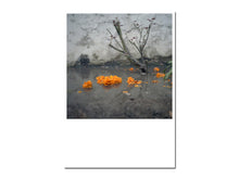 Load image into Gallery viewer, SPECIAL EDITION: Anu Kumar – Ghar