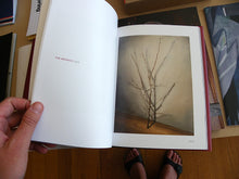 Load image into Gallery viewer, Michael Borremans - Fixture