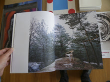 Load image into Gallery viewer, Architecture, Photography And The Contemporary Past