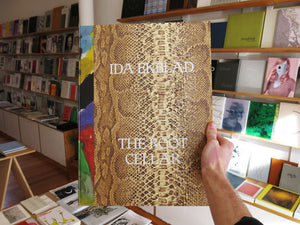 Ida Ekblad - The Cellar Door