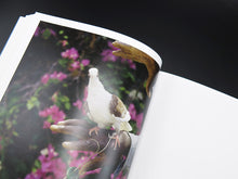 Load image into Gallery viewer, Gregory Halpern – ZZYZX (Signed)