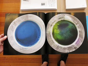 Jean-Baptiste Bernadet - 255 Plates