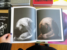 Load image into Gallery viewer, Pierre Debusschere - Uncovered
