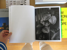 Load image into Gallery viewer, Edouard Jacquinet – Marguerites