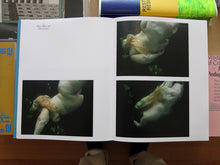 Load image into Gallery viewer, Mariken Wessels – Miss Cox