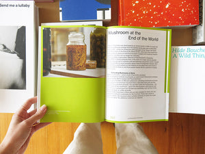 Recipes for the Future