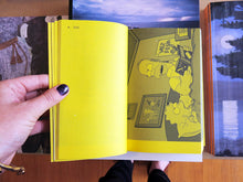 Load image into Gallery viewer, A Final Companion To Books From The Simpsons (Updated Version)