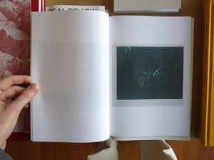 Inga Kerber – Cliché of a Landscape, Jungle