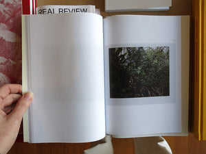 Inga Kerber – Cliché of a Landscape, Jungle