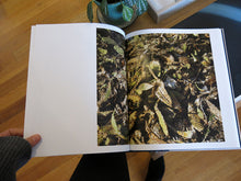 Load image into Gallery viewer, Ron Jude - Lago