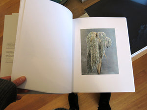 Carly Steinbrunn - The Voyage of Discovery