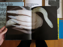 Load image into Gallery viewer, Mihai Barabancea – Falling on Blades