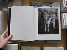 Load image into Gallery viewer, Alfio Tommasini – Via Lactea