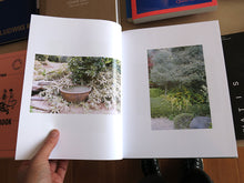 Load image into Gallery viewer, Anders Edström - Hanezawa Garden