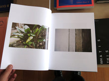 Load image into Gallery viewer, Anders Edström - Hanezawa Garden