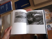 Load image into Gallery viewer, David Campany - a Handful of Dust