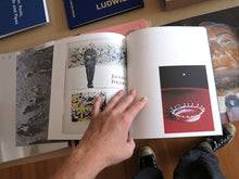 Load image into Gallery viewer, David Campany - a Handful of Dust
