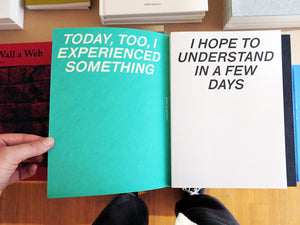 Sanne Van Den Elzen - Today, Too, I Experienced Something I Hope To Understand In A Few Days