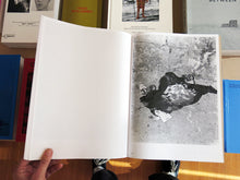 Load image into Gallery viewer, Nick Geboers - Aaeuaaeo