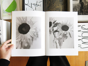 Gen Kay – Sunflowers