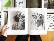 Load image into Gallery viewer, Gen Kay – Sunflowers